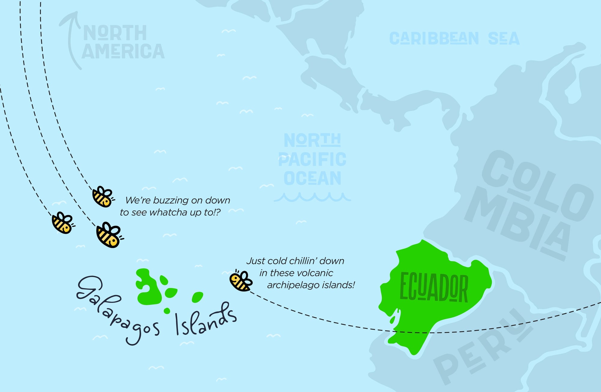 A SUMMER OF LEARNING: BUZZING AROUND THE GALAPAGOS ISLANDS